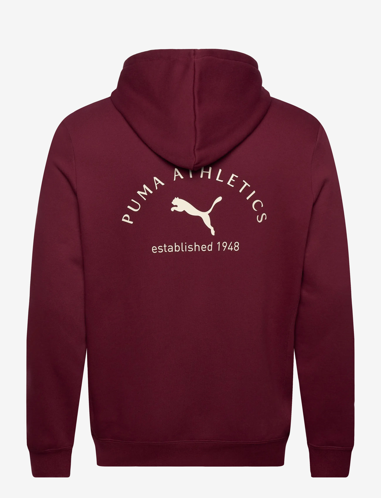 PUMA - PUMA CLASS Graphic Hoodie FL - overdele - ruby shimmer - 1