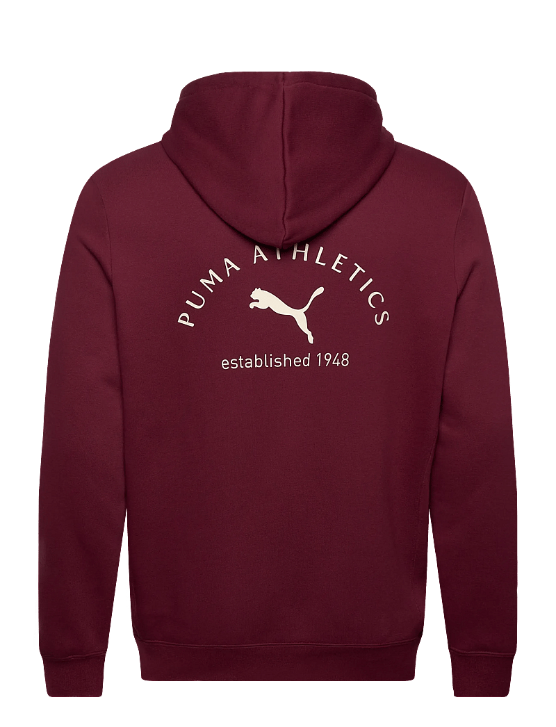 PUMA - PUMA CLASS Graphic Hoodie FL - overdele - ruby shimmer - 1