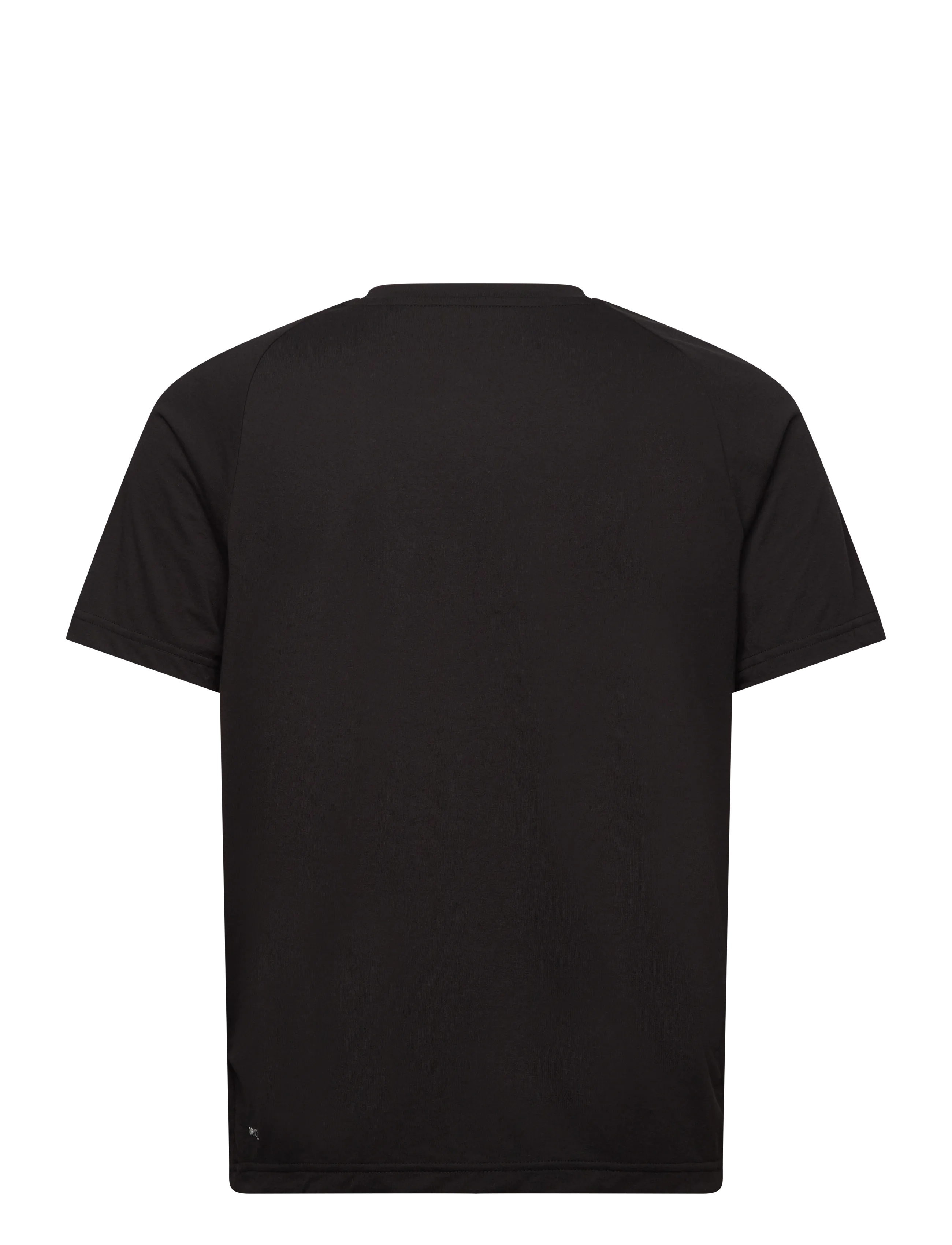 PUMA - EVOSTRIPE Tee - puma black - 1