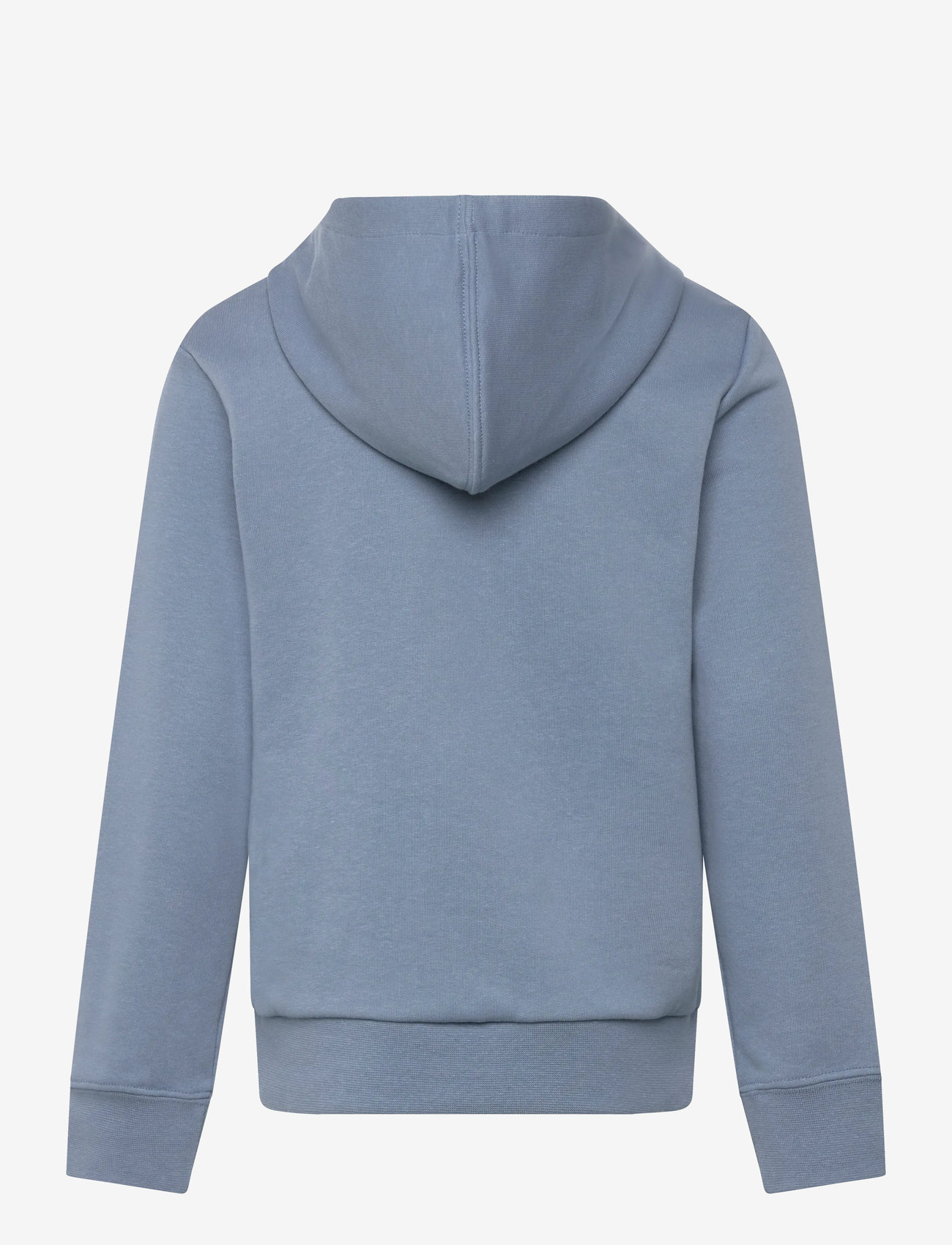 PUMA - MID90s Hoodie TR B - kapuutsiga dressipluusid - cool blue - 1