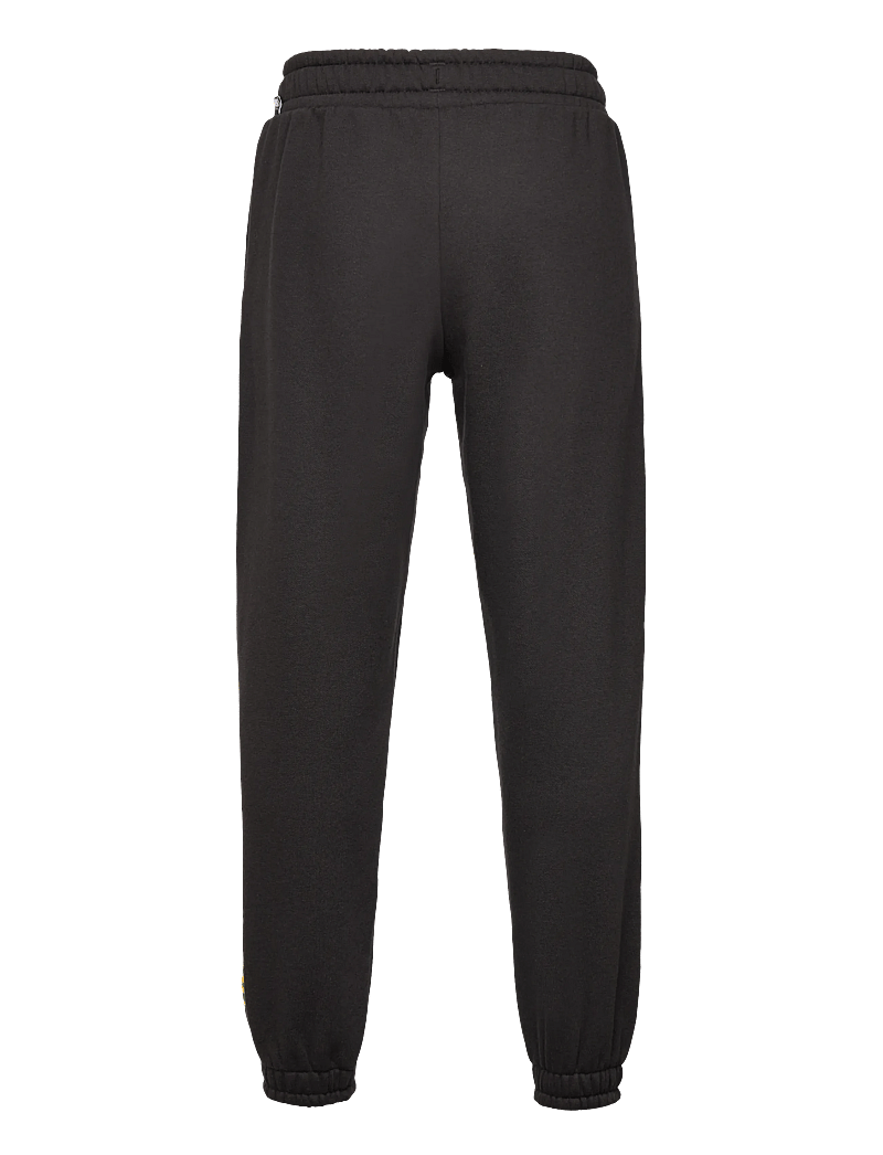 PUMA - BASKETBALL HOOPERHOTLINE Sweatpants FL B - sweatpants - puma black - 1