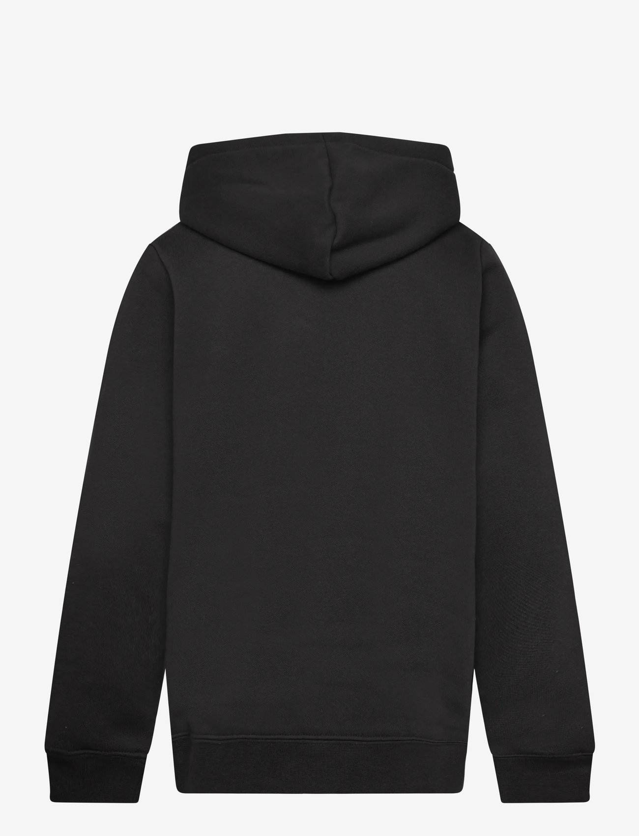 PUMA - ESS BLOCK Small Logo Hoodie FL B - kapuzenpullover - puma black - 1