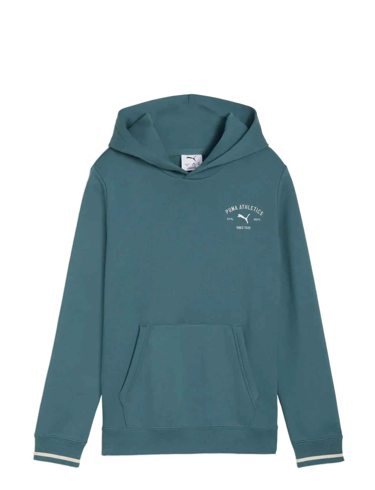 PUMA PUMA CLASS Graphic Hoodie TR B - Kapuzenpullover - EMERALD ICE / green