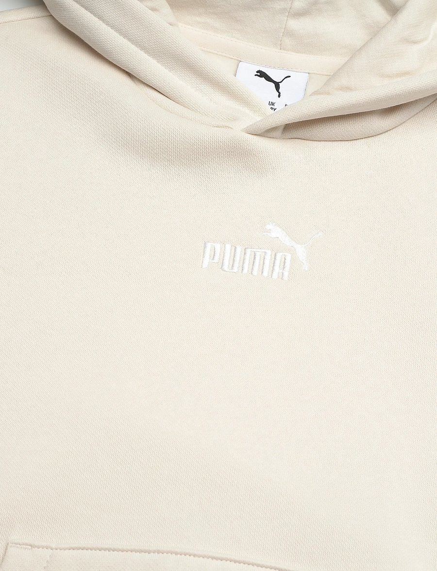PUMA - ESS Small No.1 Logo Centered Hoodie FL B - kapuzenpullover - alpine snow - 2