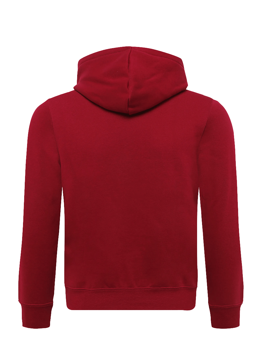 PUMA - ESS Small No.1 Logo Centered Hoodie FL B - kapuzenpullover - garnet glow - 1