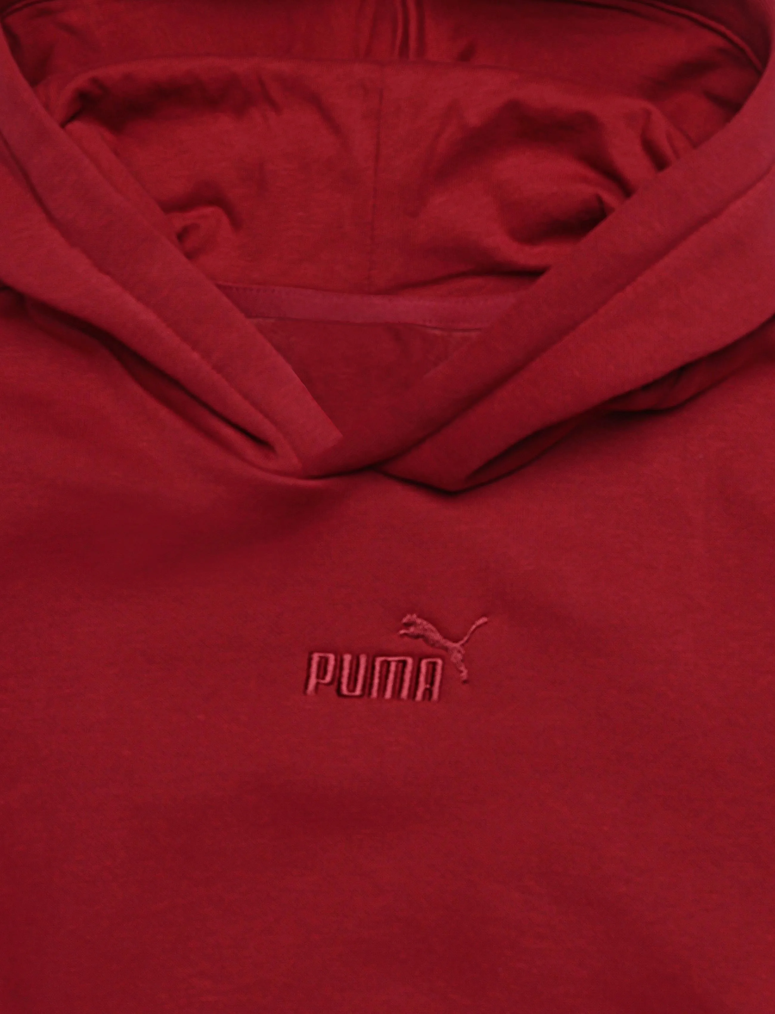 PUMA - ESS Small No.1 Logo Centered Hoodie FL B - kapuzenpullover - garnet glow - 2