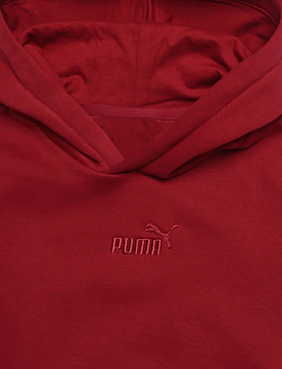 PUMA - ESS Small No.1 Logo Centered Hoodie FL B - kapuzenpullover - garnet glow - 2