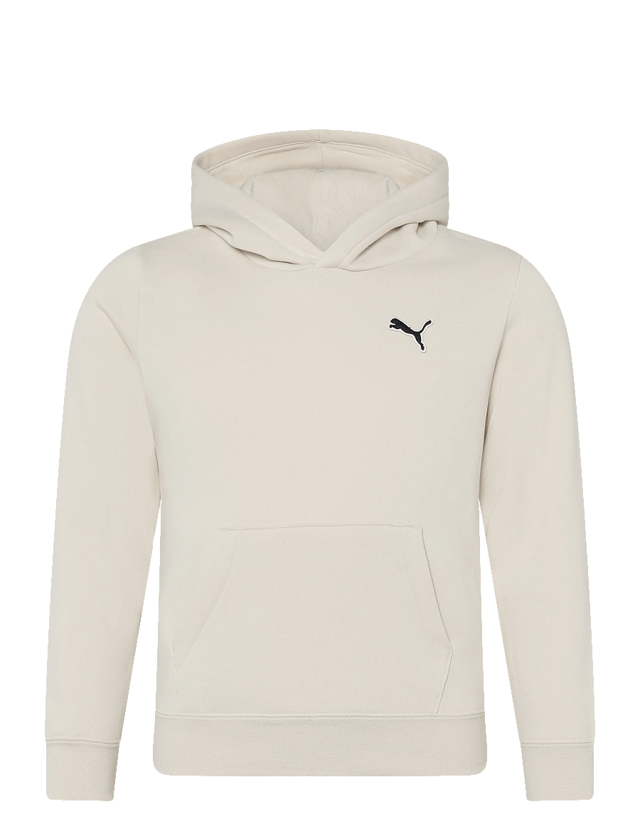 PUMA - ESS ELEVATED Hoodie FL - kapuutsiga dressipluusid - alpine snow - 0