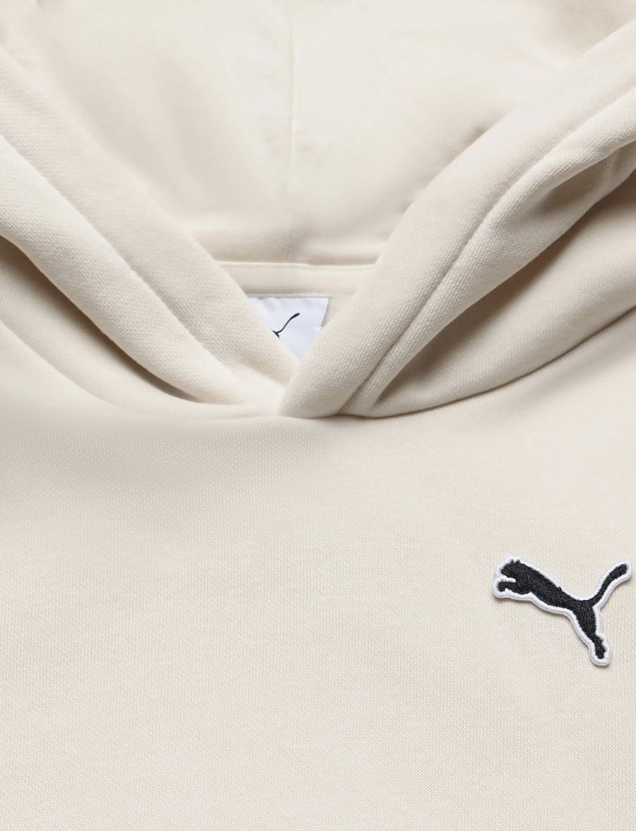 PUMA - ESS ELEVATED Hoodie FL - kapuutsiga dressipluusid - alpine snow - 2