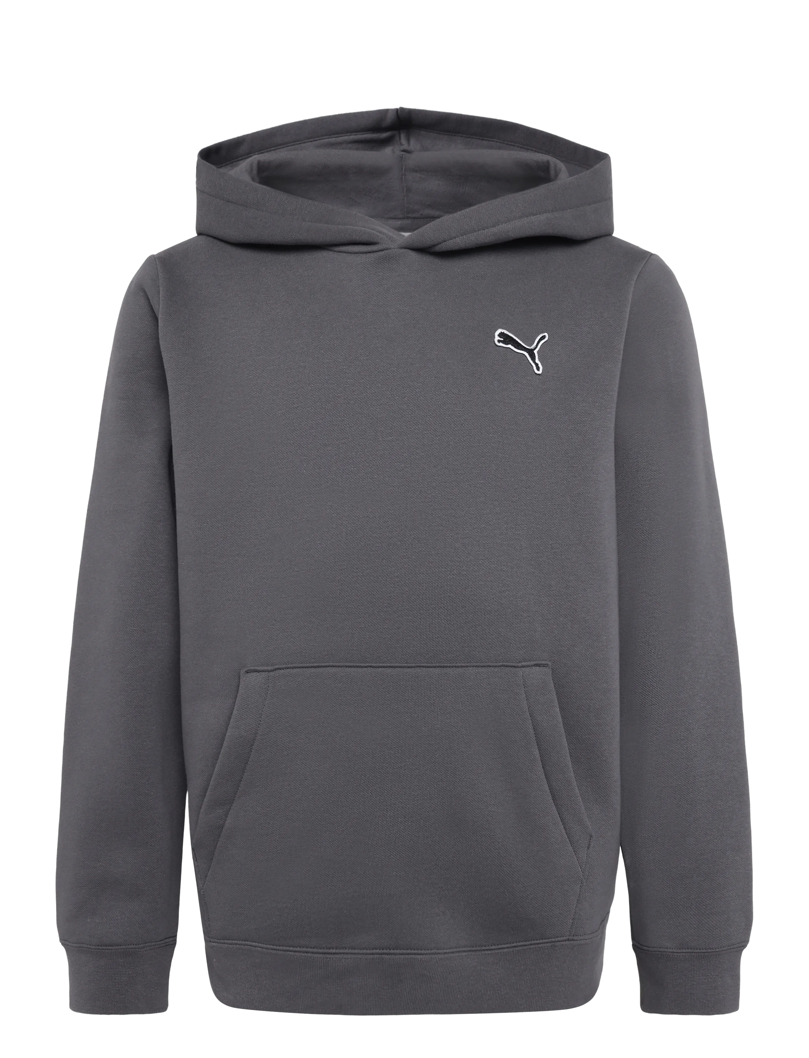 PUMA Ess Elevated Hoodie Fl, 164, Sweatshirts & Hoodies, Grau - Kinder