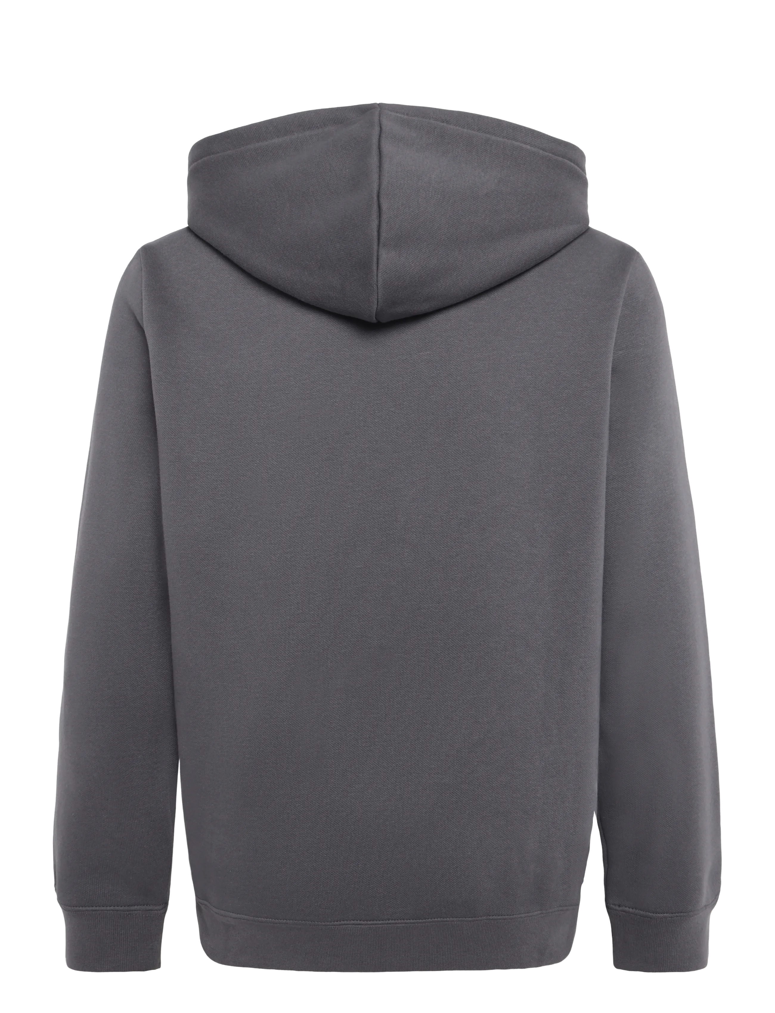 PUMA - ESS ELEVATED Hoodie FL - moody gray - 1