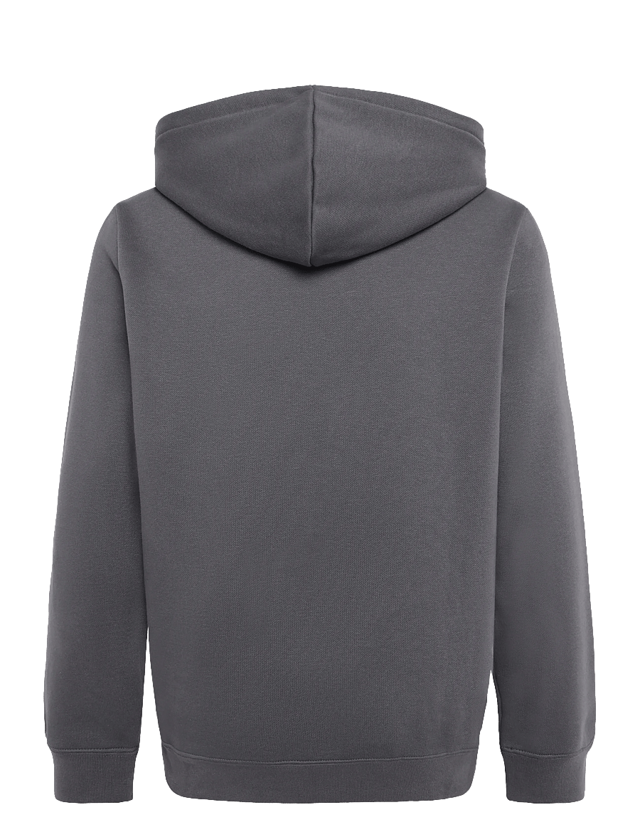 PUMA - ESS ELEVATED Hoodie FL - huvtröjor - moody gray - 1