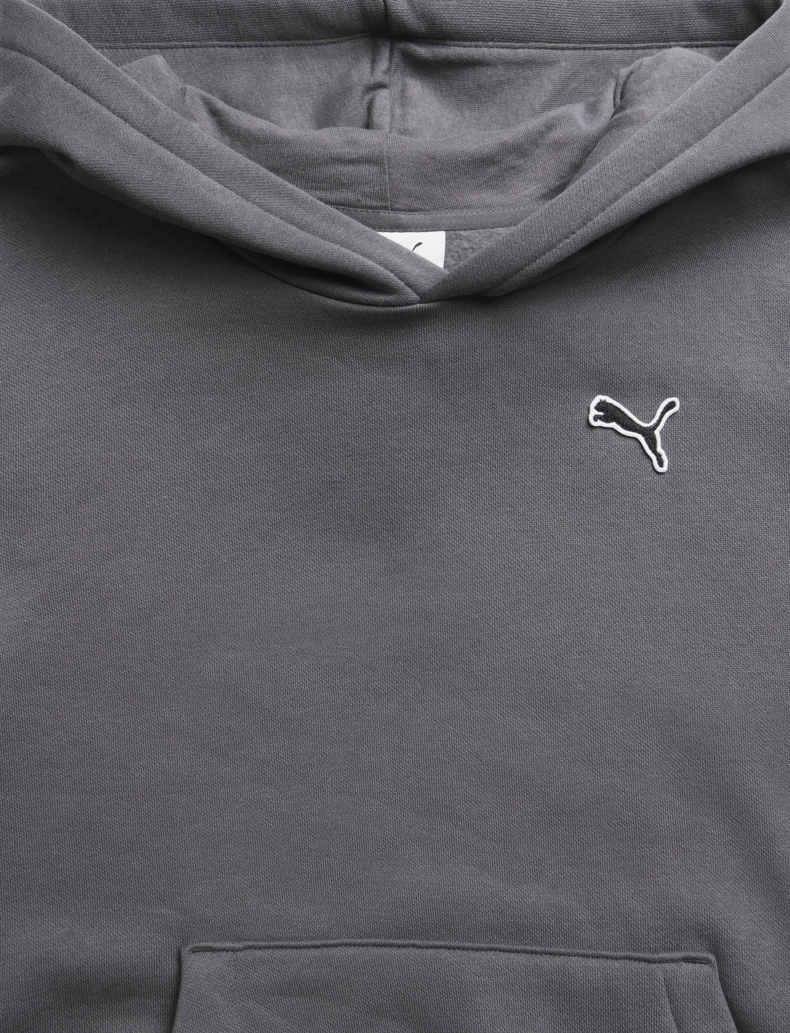 PUMA - ESS ELEVATED Hoodie FL - moody gray - 2