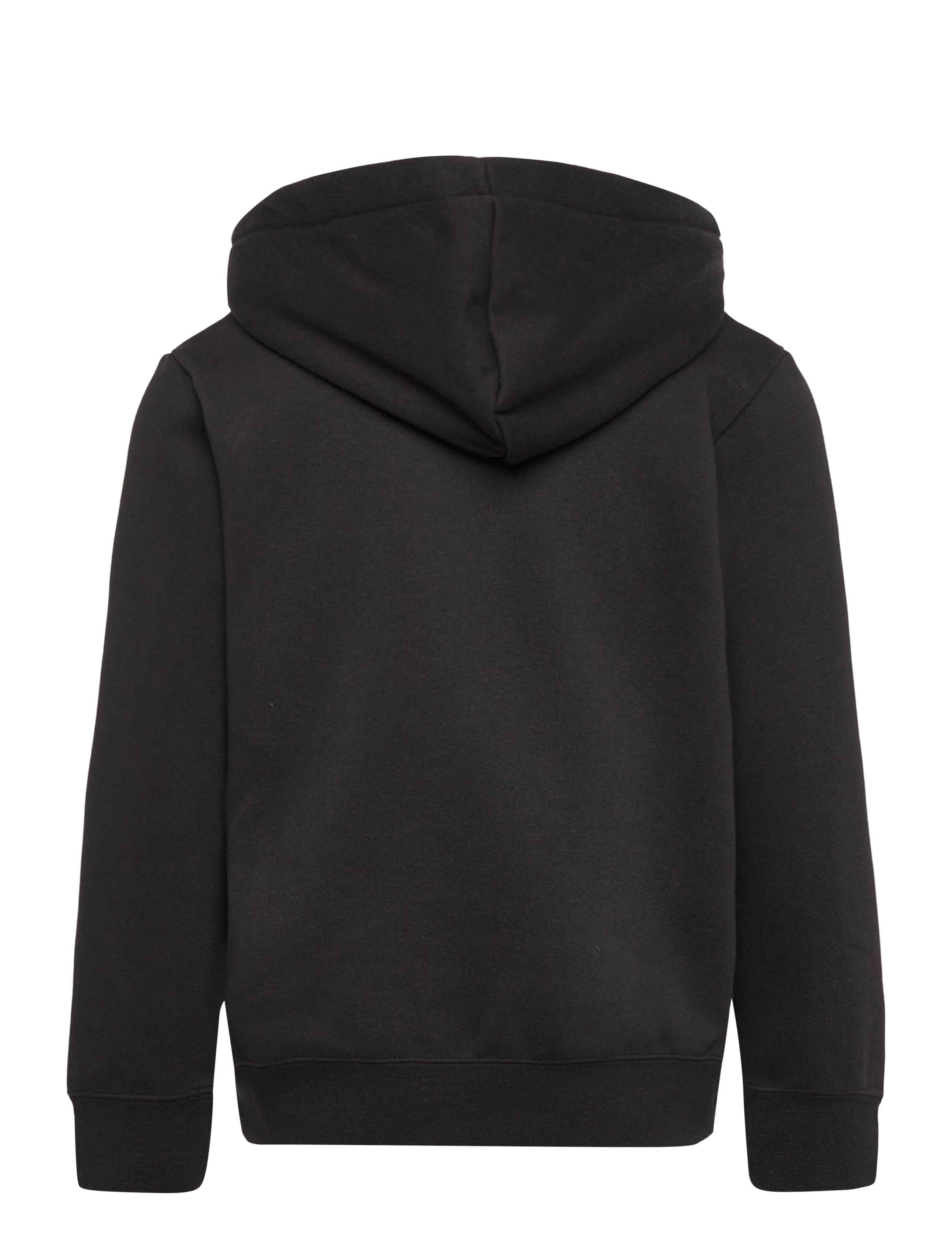 PUMA - PUMA CLASS Graphic Hoodie FL B - kapuutsiga dressipluusid - puma black - 1