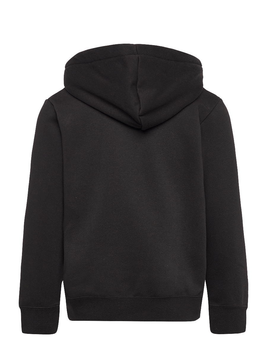 PUMA - PUMA CLASS Graphic Hoodie FL B - huvtröjor - puma black - 1