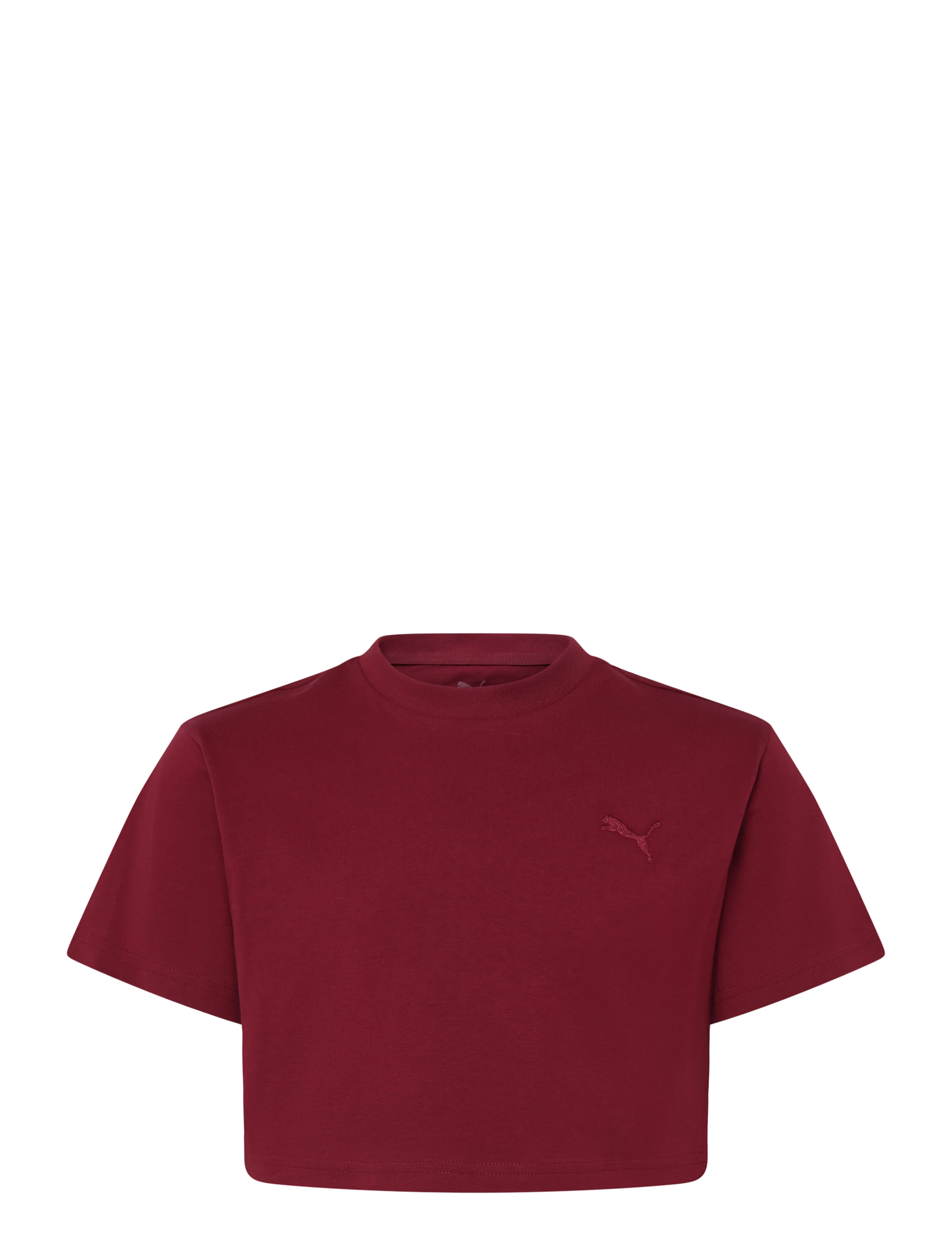 PUMA PUMA CLASS Relaxed Short Lenght Graphic Tee G - Kortärmade t-shirts - GARNET GLOW / burgundy