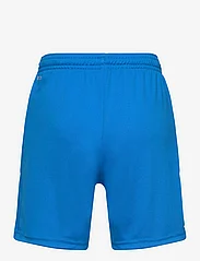 PUMA - teamGOAL 23 knit Shorts jr - electric blue lemonade - 1