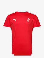 teamLIGA Jersey - PUMA RED-PUMA WHITE