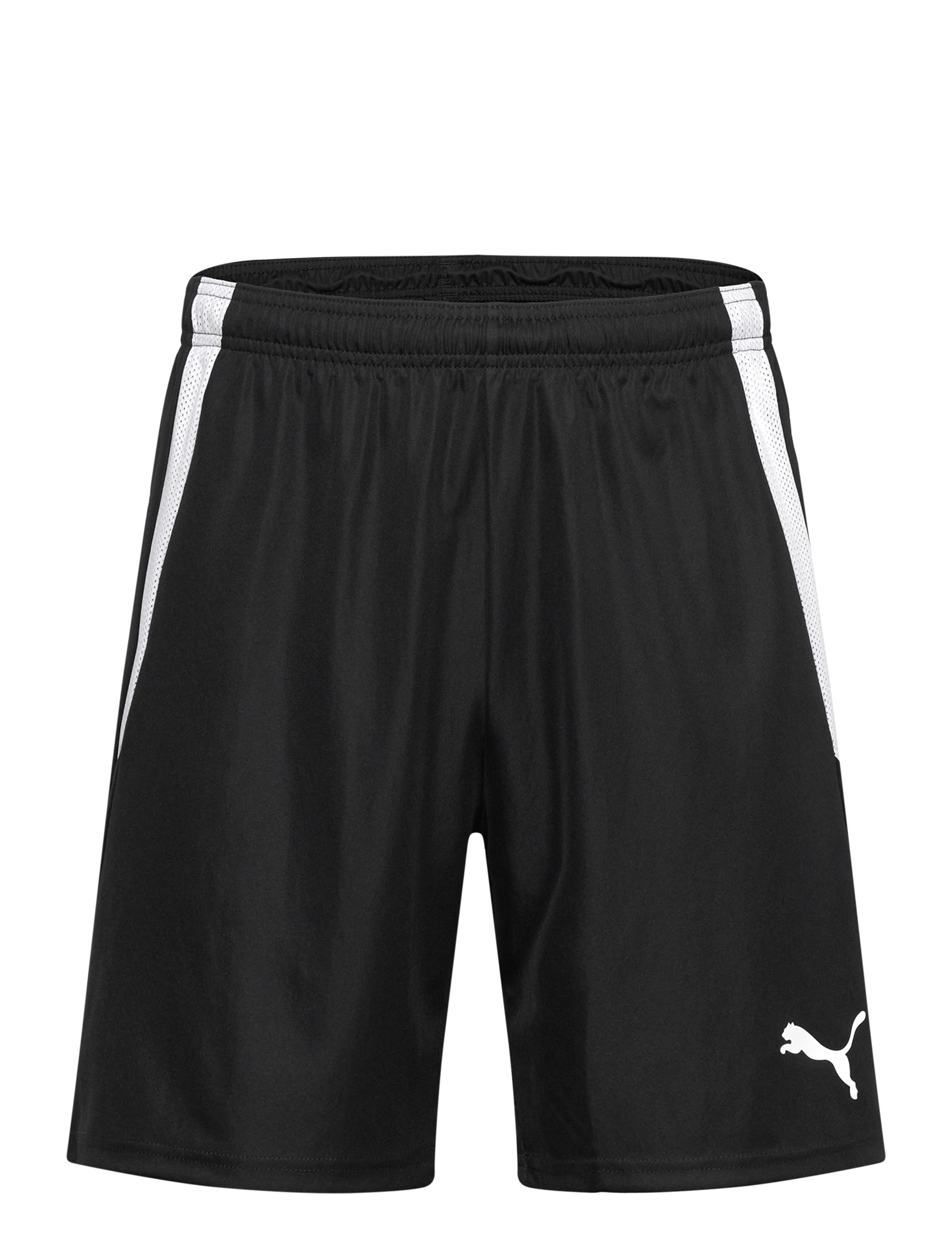 teamLIGA Shorts - PUMA BLACK-PUMA WHITE