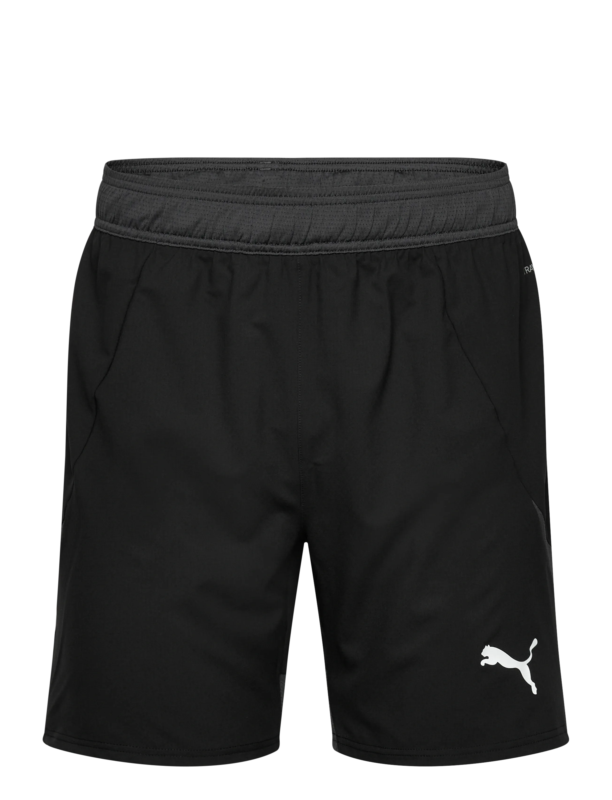 PUMA teamFINAL Shorts - Trainingsshorts - PUMA BLACK-PUMA WHITE-FLAT DARK GRAY / black