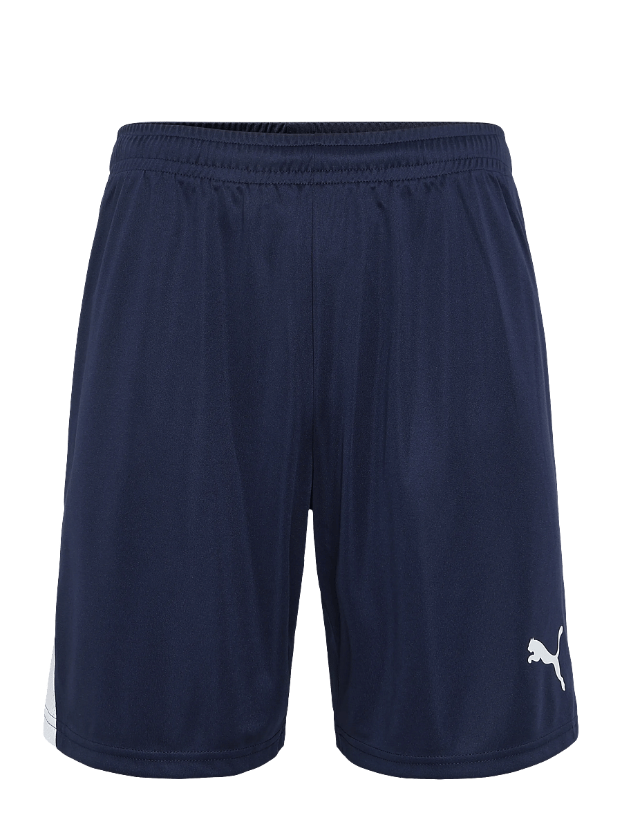 PUMA - teamLIGA26 Shorts - trainingsshorts - puma navy-puma white-puma white - 0