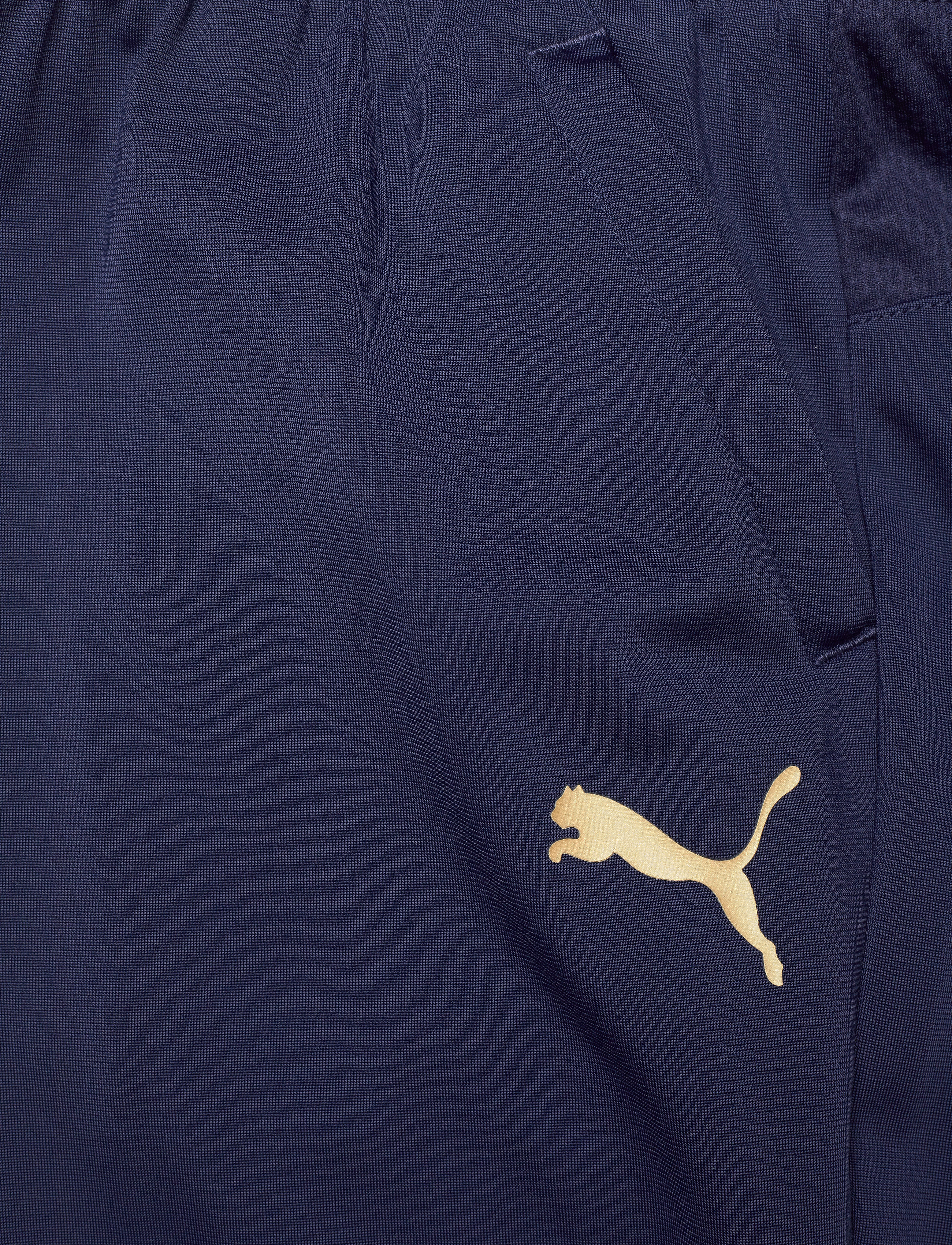 PUMA - FIGC Training Pant w.z/p Jr - peacoat-puma team gold - 2