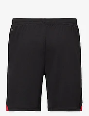 PUMA - ACM Shorts Replica - training shorts - puma black-for all time red - 1