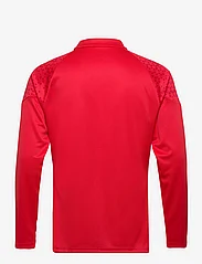 PUMA - ACM Training 1/4 Zip Top - sport - for all time red-feather gray - 1
