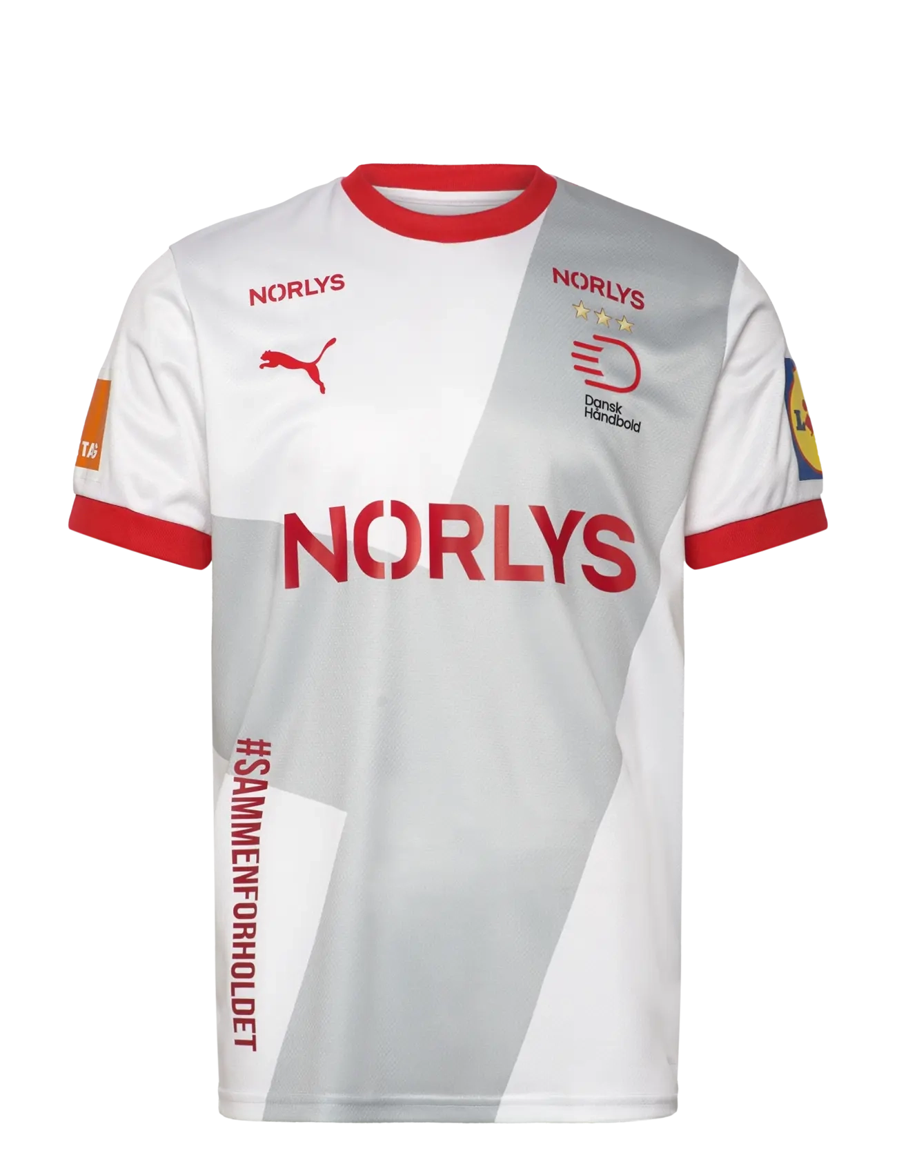 PUMA DHF Away Jersey - Alles anzeigen - PUMA WHITE-COOL LIGHT GRAY / white