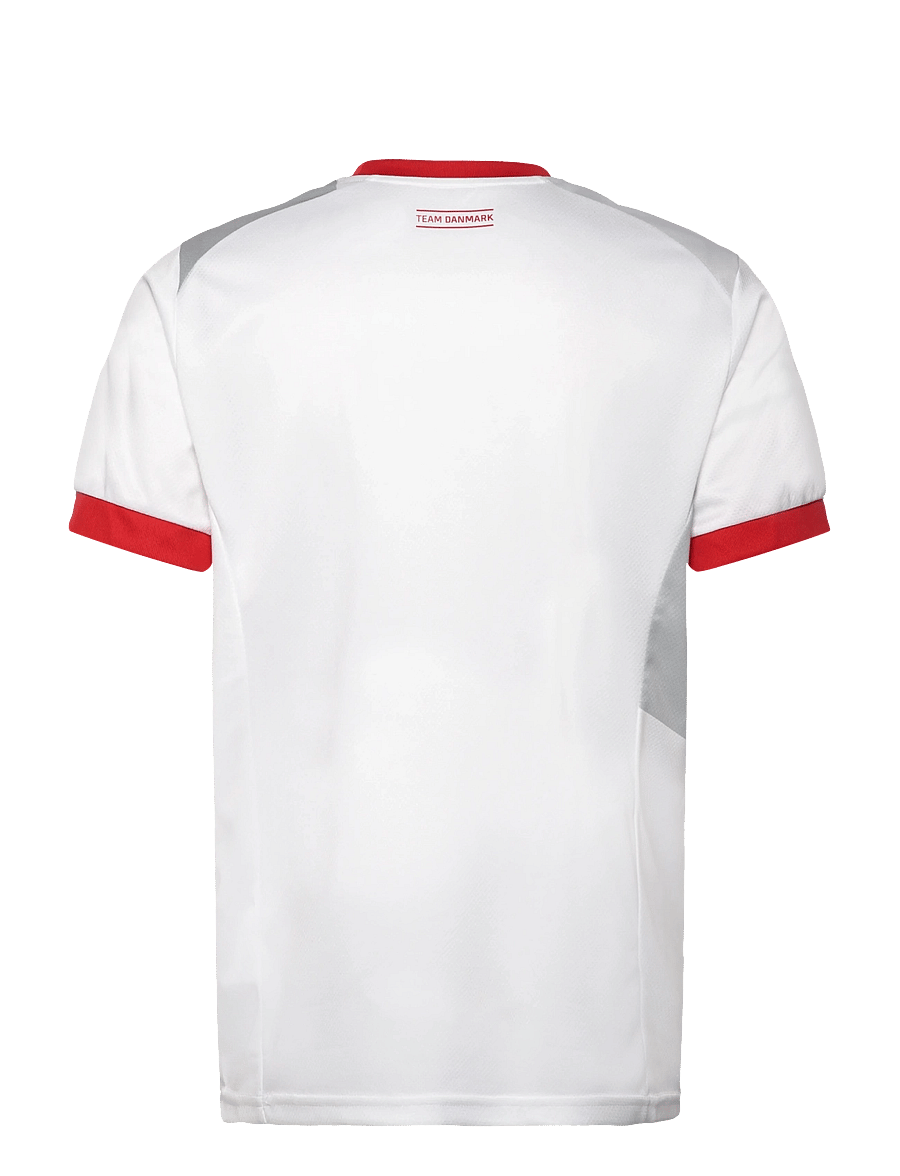 PUMA - DHF Away Jersey - puma white-cool light gray - 1