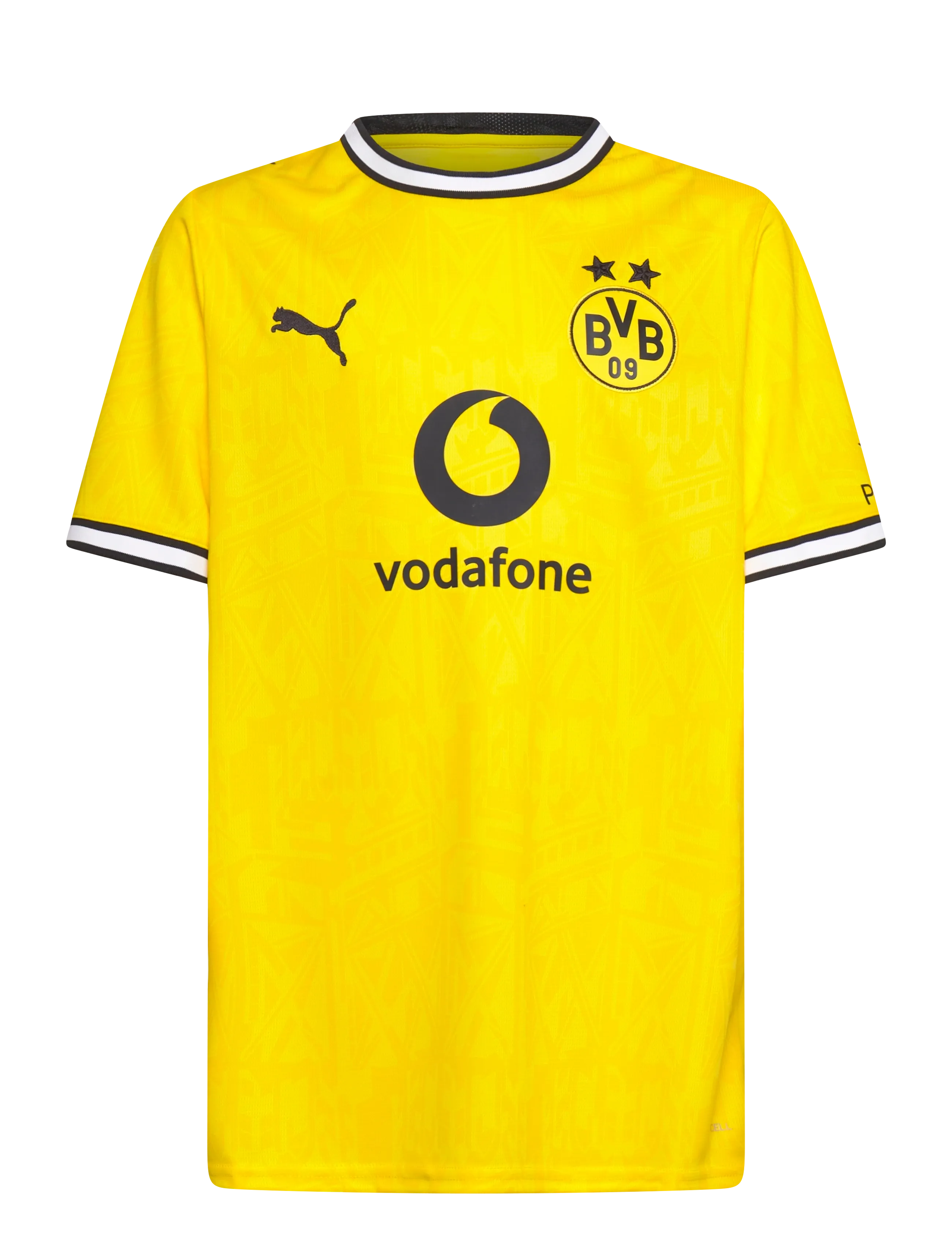PUMA Bvb Home Jersey Replica Jr, 176, Yellow, T-Shirts > Kortærmede, Børn