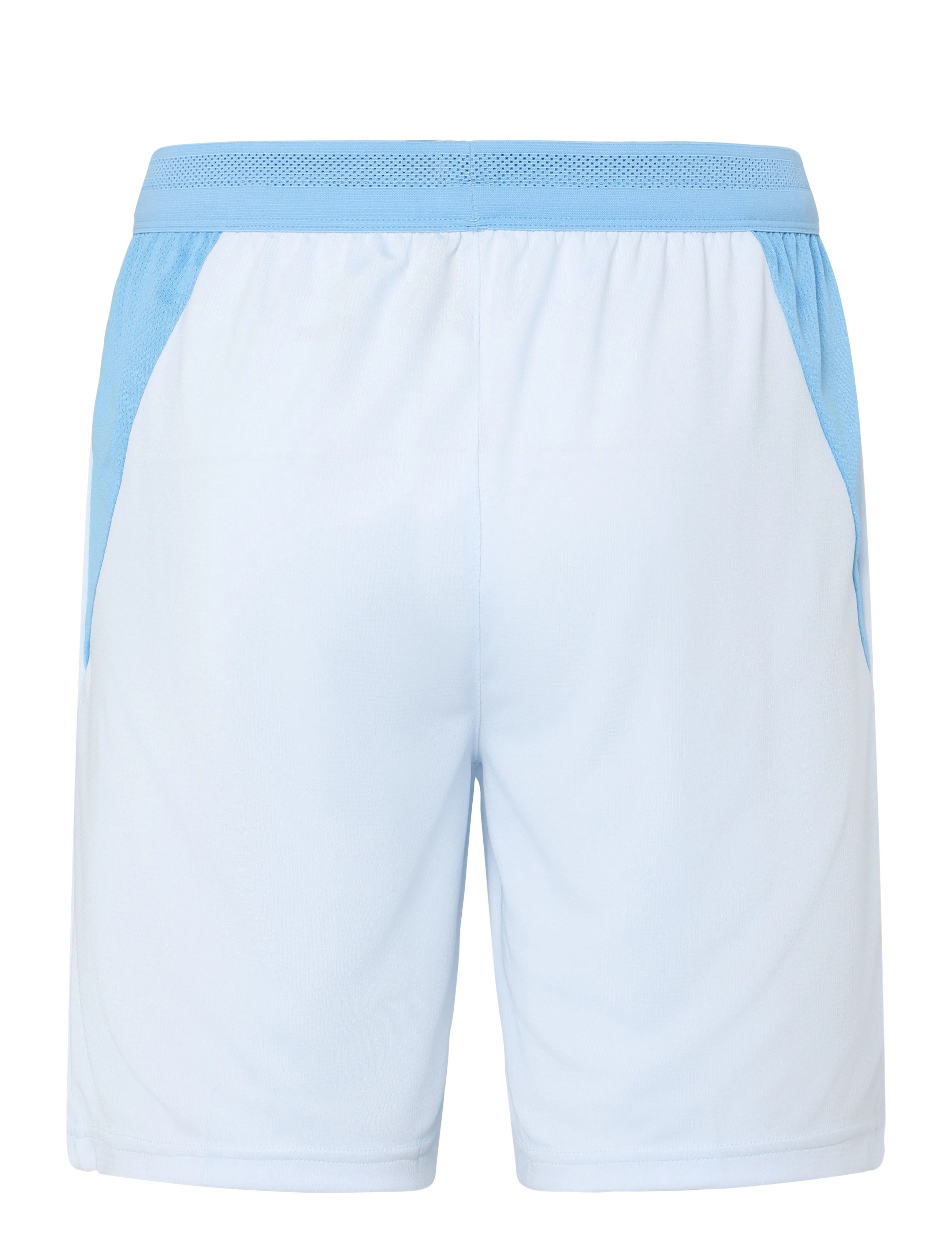 PUMA - Manchester City F.C. Shorts Replica - trainingsshorts - icy blue-team light blue - 1