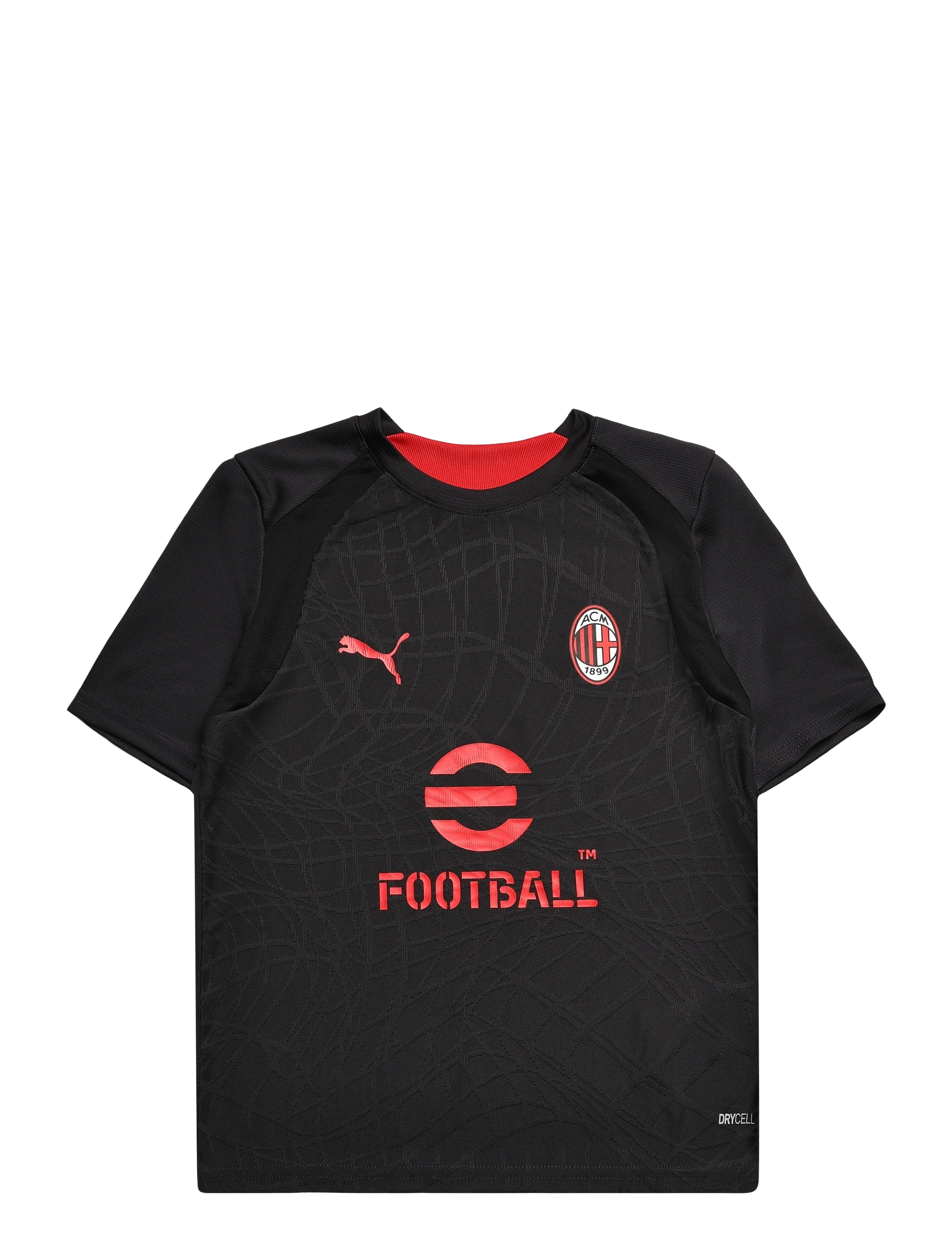 PUMA Acm Training Jersey Jr, Junior Fodbold Trænings Trøje, Grå, Str: 116