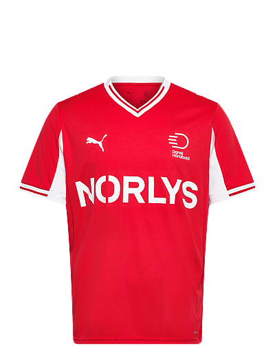 PUMA DHF Home Jersey - Tøj - PUMA RED-PUMA WHITE / red