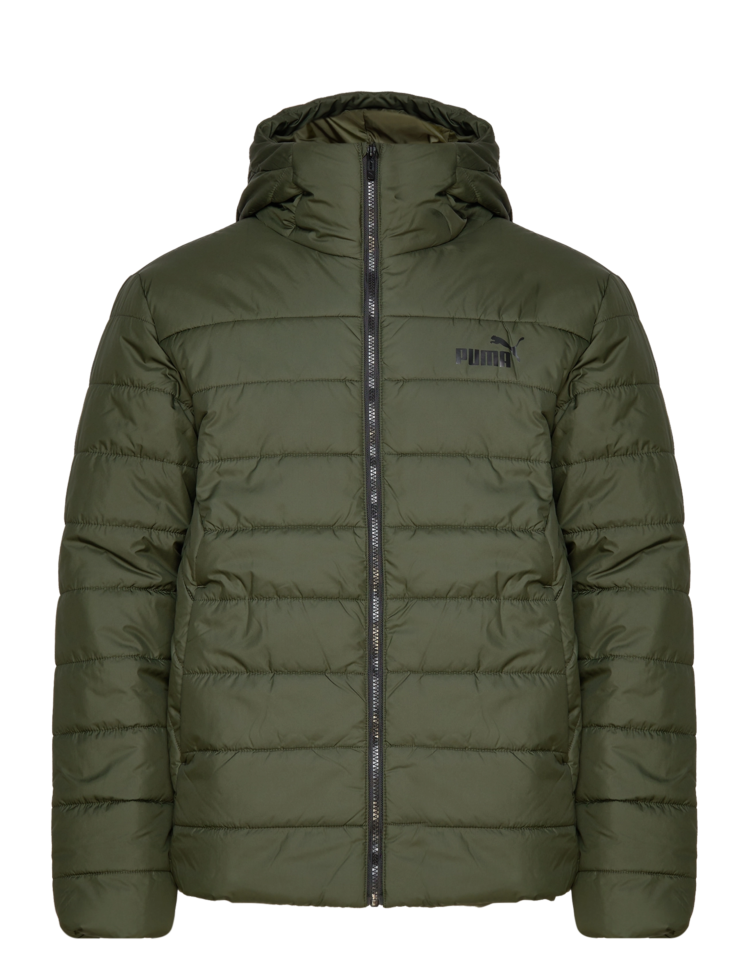 ESS Hooded Padded Jacket - MYRTLE