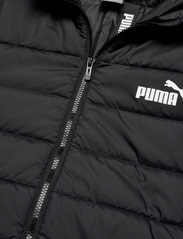 PUMA - ESS Hooded Padded Jacket - talvitakit - puma black - 9