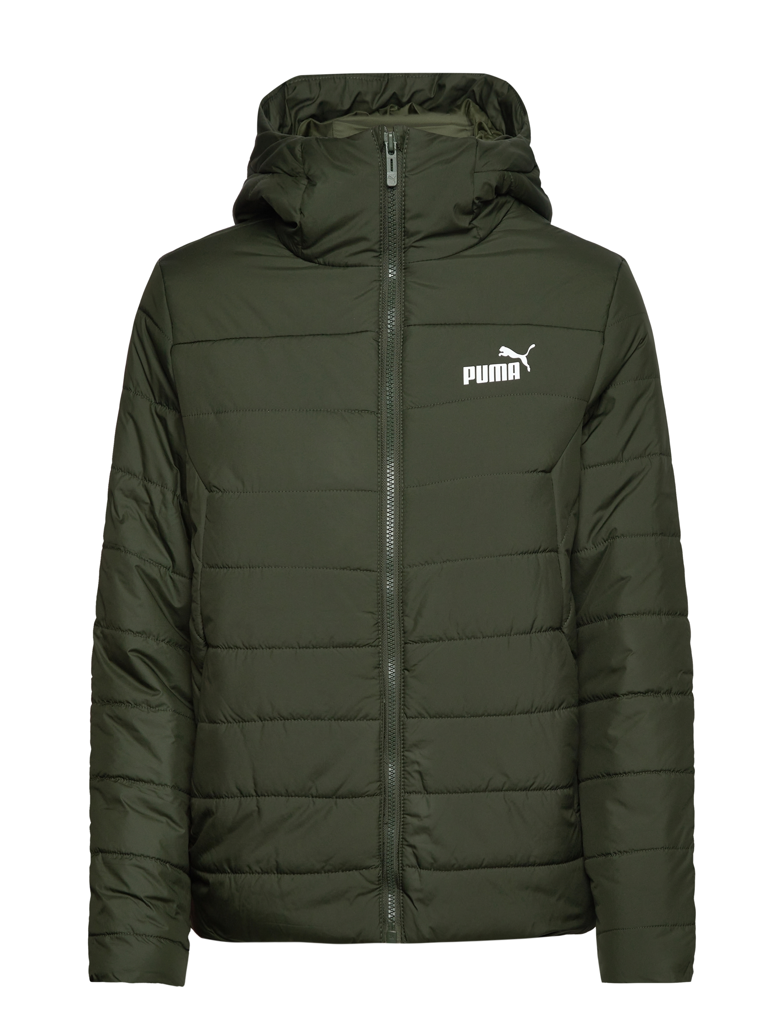 ESS Hooded Padded Jacket - MYRTLE