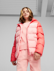 PUMA - Colourblock Polyball Hooded Jacket - insulated jackets - peach smoothie - 2