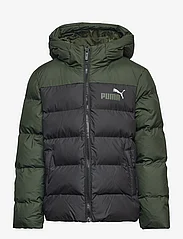 PUMA - Colourblock Polyball Hooded Jacket - insulated jackets - puma black-myrtle - 0