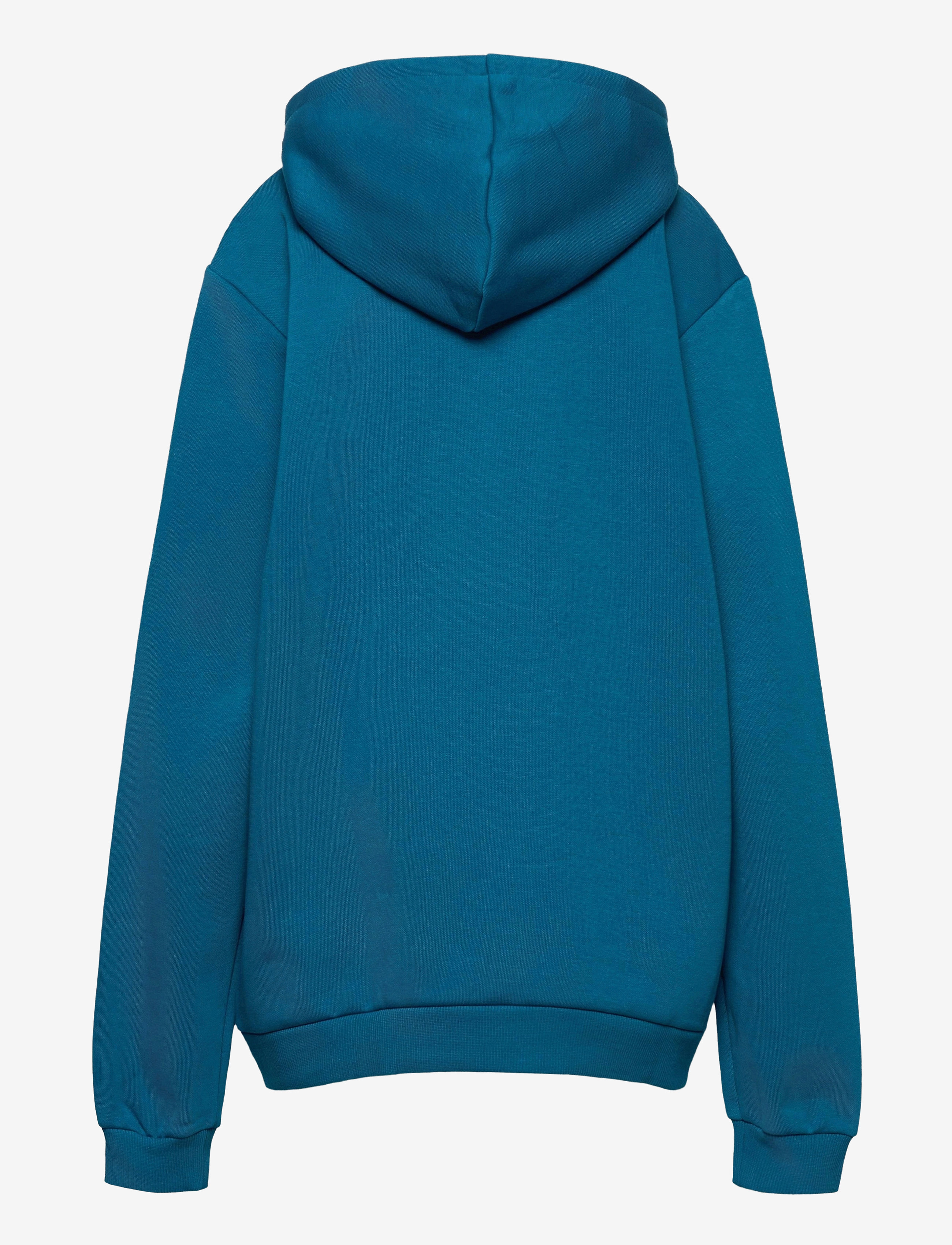 PUMA - ESS Logo Hoody FL B - digi-blue - 1