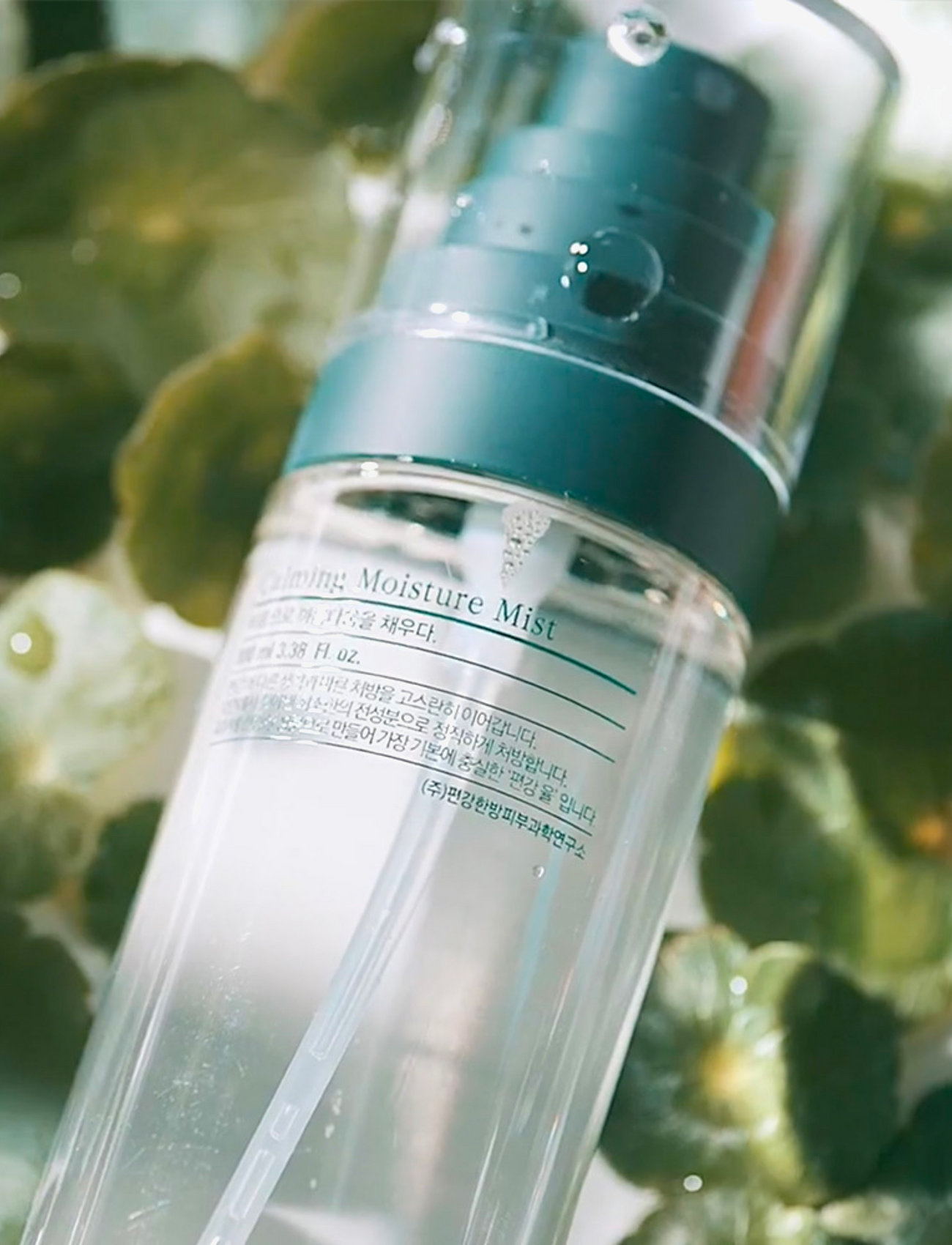 Pyunkang Yul - Calming Moisture Mist - ansiktsmist - clear - 1