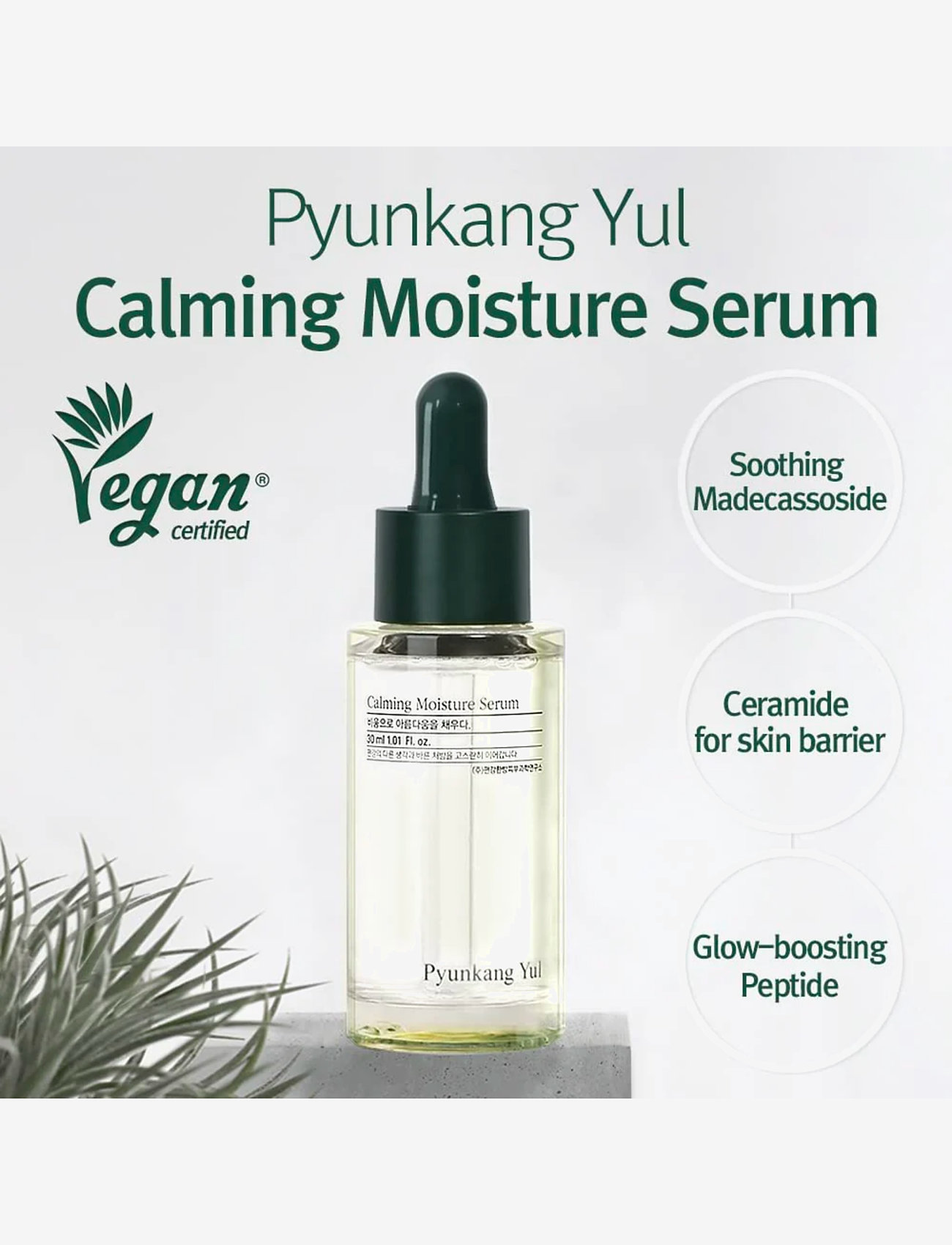 Pyunkang Yul - Calming Moisture Serum - serum - clear - 1