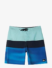 Quiksilver - EVERYDAY PANEL YTH 17 - swim shorts - limpet shell - 0