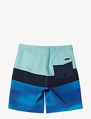 Quiksilver - EVERYDAY PANEL YTH 17 - swim shorts - limpet shell - 1