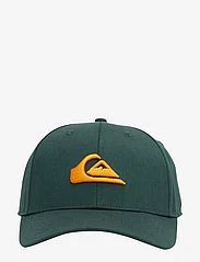 Quiksilver - DECADES YOUTH - summer savings - forest - 3