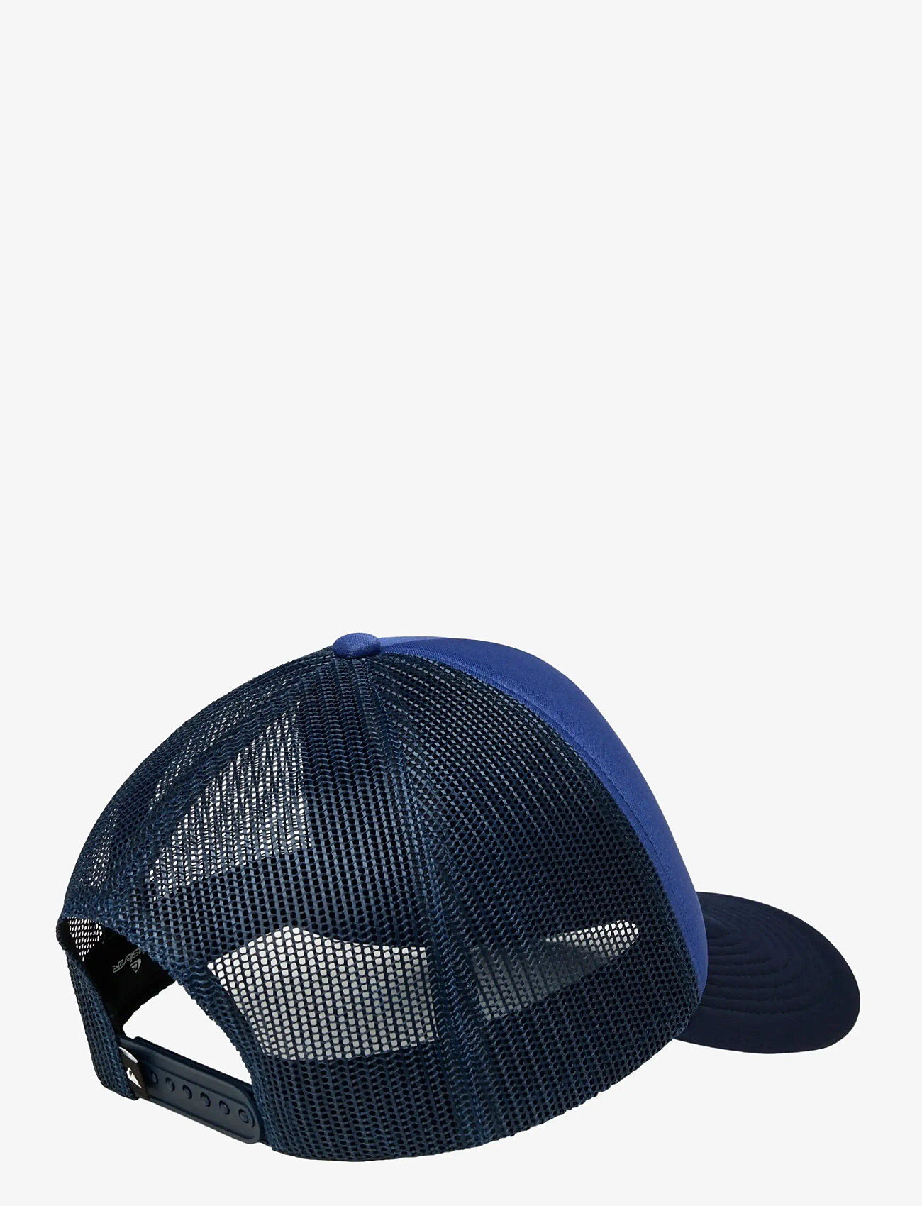 Quiksilver - DNA IMPAIRED - nokamütsid - dark navy - 1