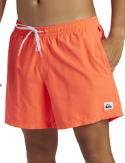 Quiksilver - EVERYDAY SOLID VOLLEY 15 - laveste priser - fiery coral - 6