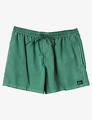 Quiksilver - EVERYDAY SURFWASH VOLLEY 15 - badeshorts - frosty spruce - 0