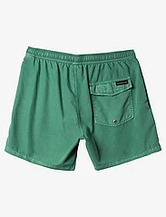 Quiksilver - EVERYDAY SURFWASH VOLLEY 15 - badeshorts - frosty spruce - 1