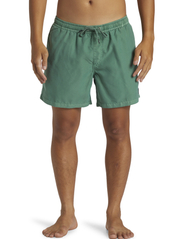 Quiksilver - EVERYDAY SURFWASH VOLLEY 15 - swim shorts - frosty spruce - 2